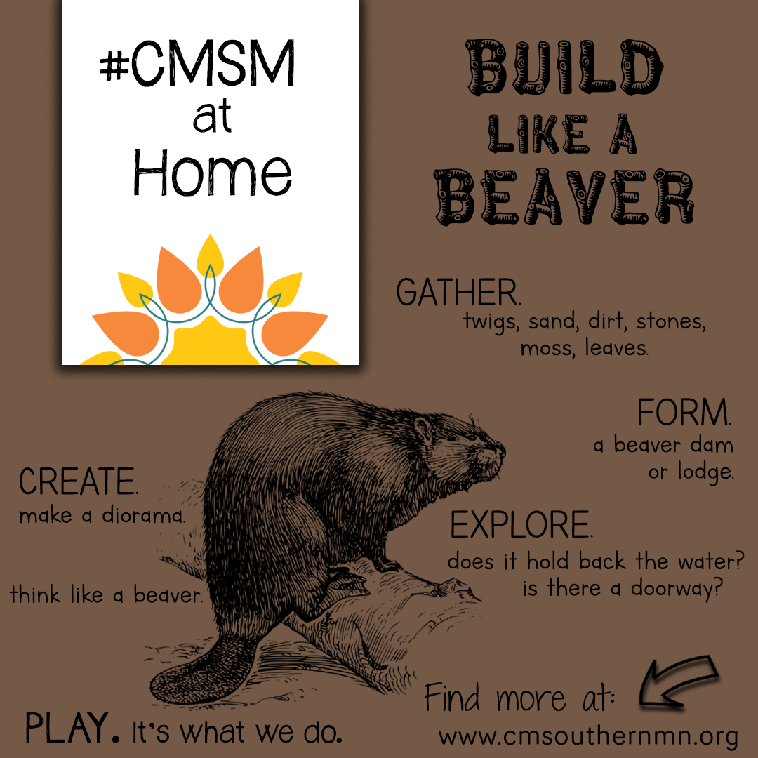 Build Like a Beaver CMSM at Home Activity