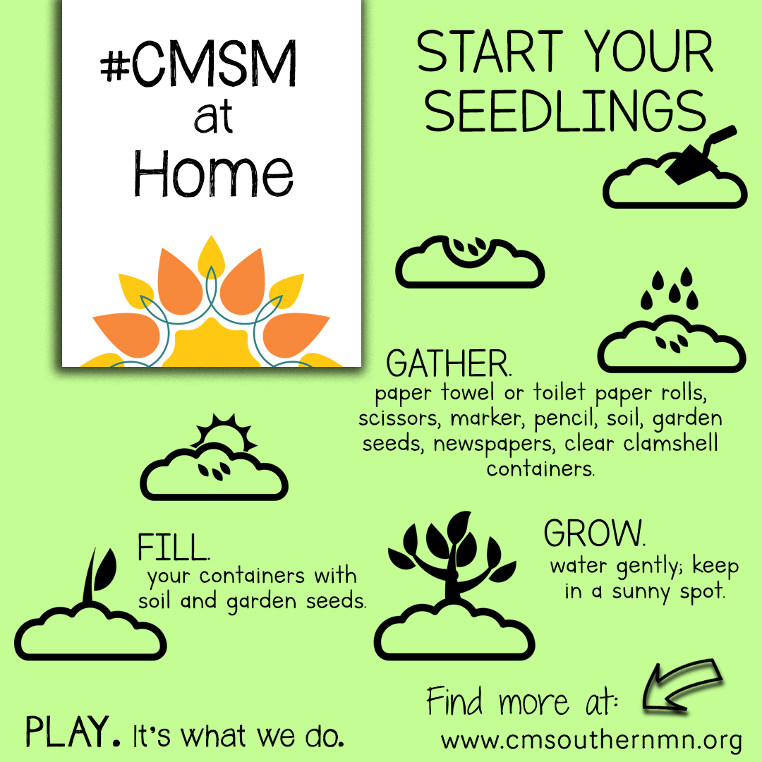 Start Your Seedlings CMSM at Home activity from the Children's Museum of Southern Minnesota