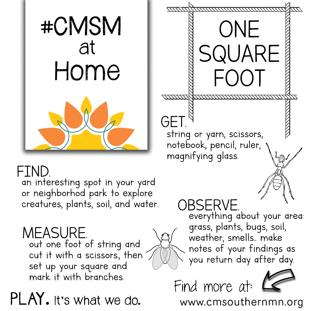 One Square Foot | CMSMatHome - Childrens Museum of Southern Minnesota