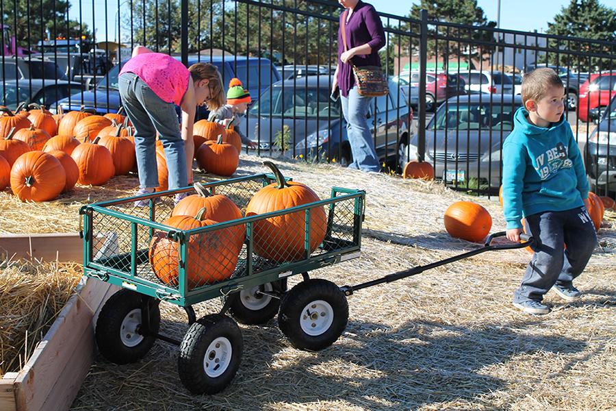 southern mn pumpkin patches