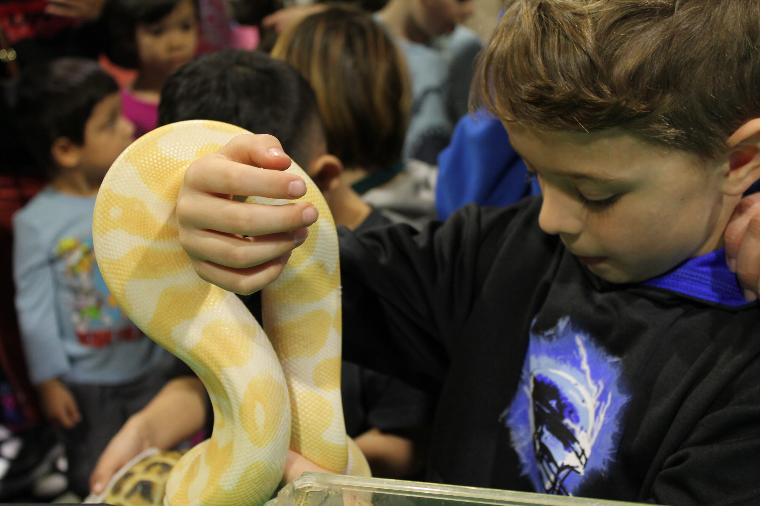 Pet Expo Reptile Visit - Childrens Museum Of Southern Minnesota